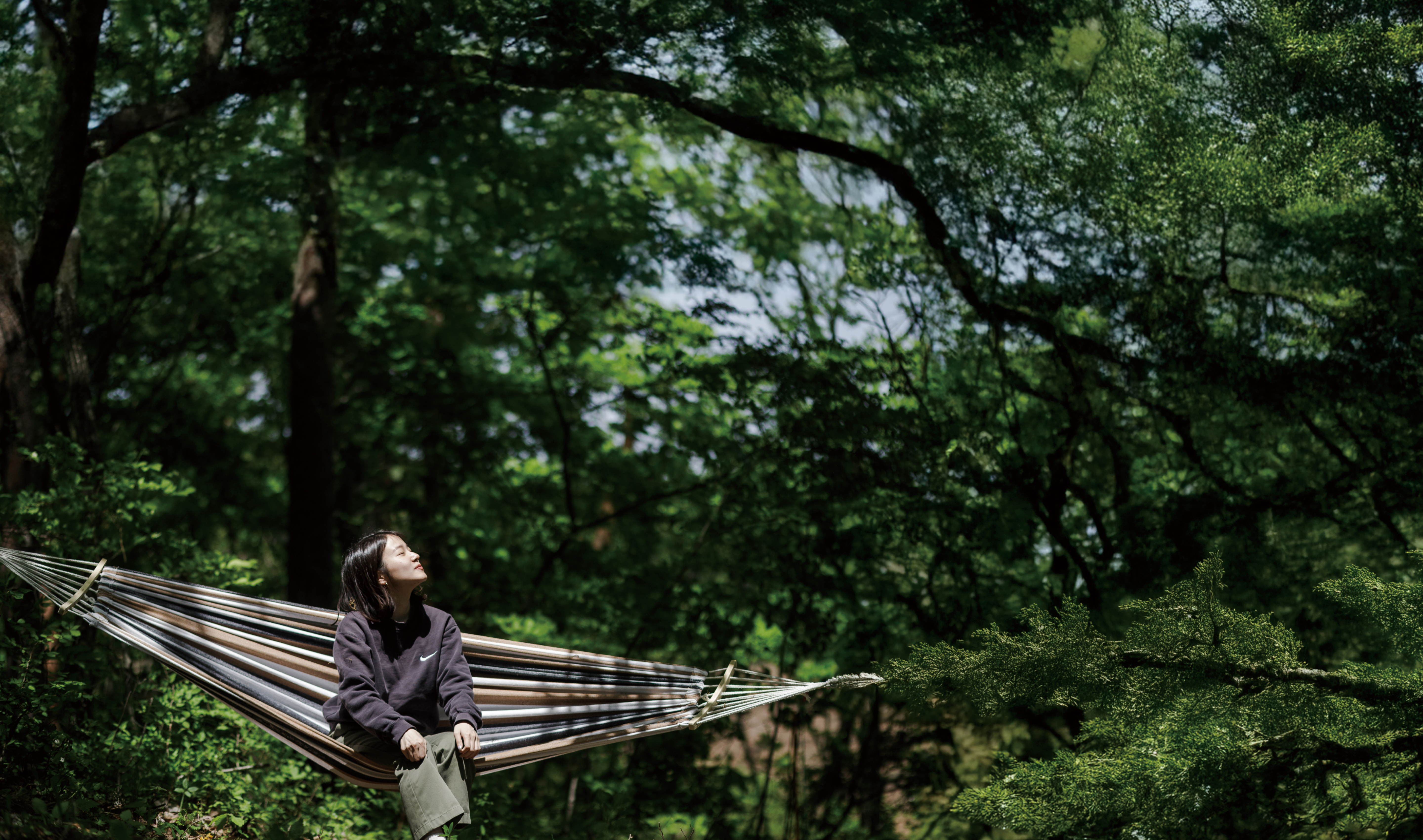 インクルーシブな世界を目指す障害を解放するフィールド